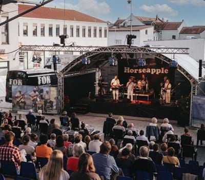 Plattlinger Mega-Events