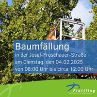 Baumfällarbeiten.png
